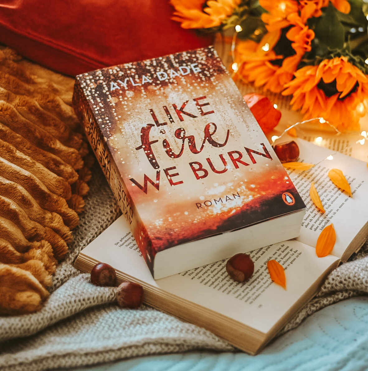 [All about the books] Like fire we burn – Ayla Dade
